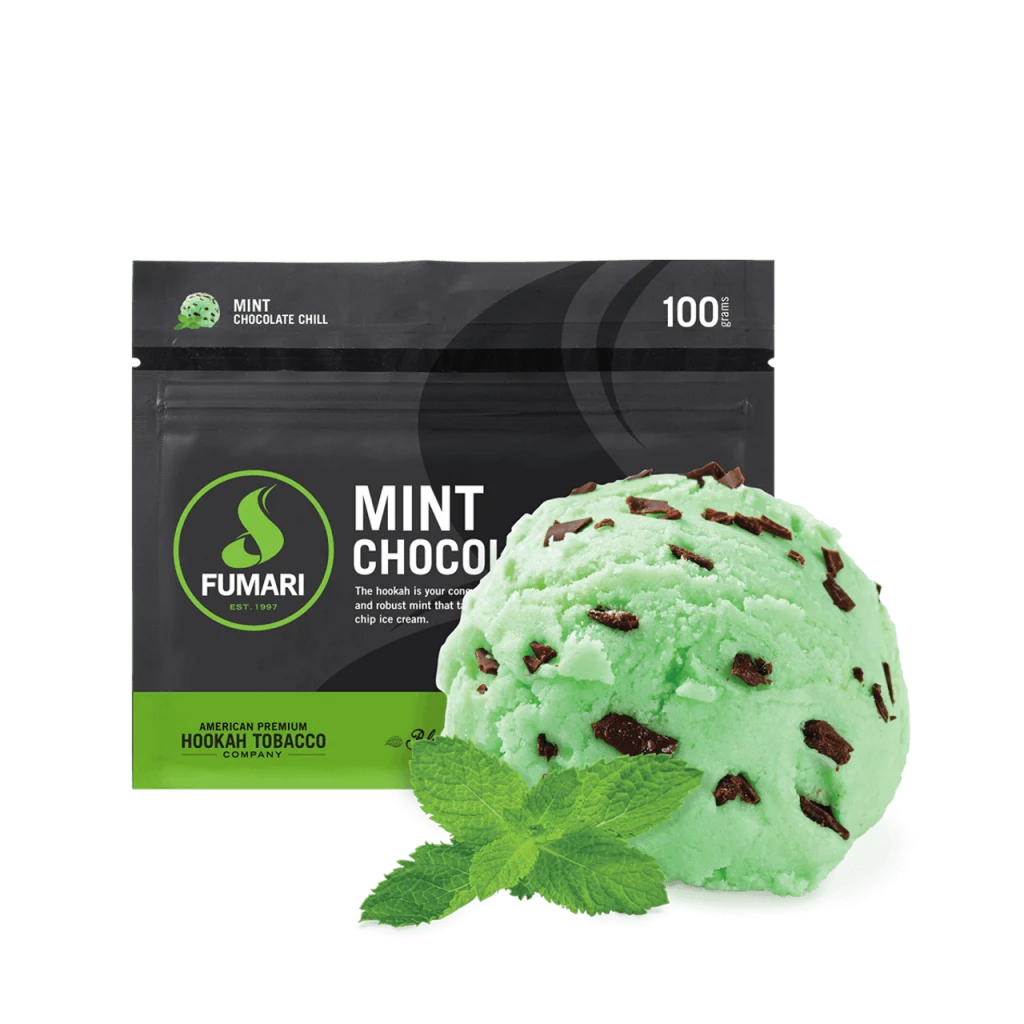MINT CHOCOLATE CHILL 100g